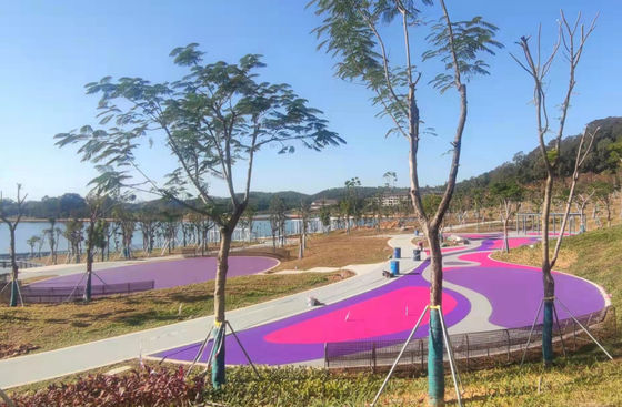 맞춤형 색상 EPDM 고무 달리기 트랙 유연한 표면 설치가 쉽습니다 우수한 내구성 충격 흡수