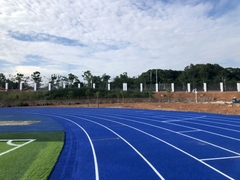 우호적인 비 유독한 Eco에 바닥을 까는 탄성 고무 EPDM 낟알