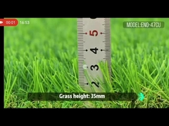 ENO-47CU 가을의 정원 잔디