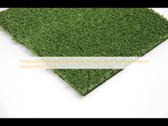 대형 주문용 전문 유리 벽 패델 코트 주문 디자인 실내 패델 코트